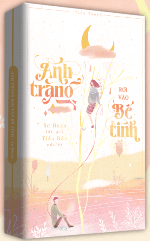 Ánh Trăng Rơi Vào Bể Tình - Review, Tóm Tắt và Review