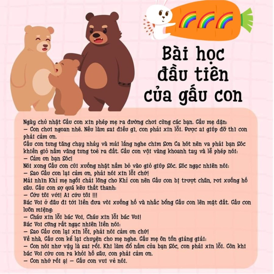 Bài Học Đầu Tiên Của Gấu Con