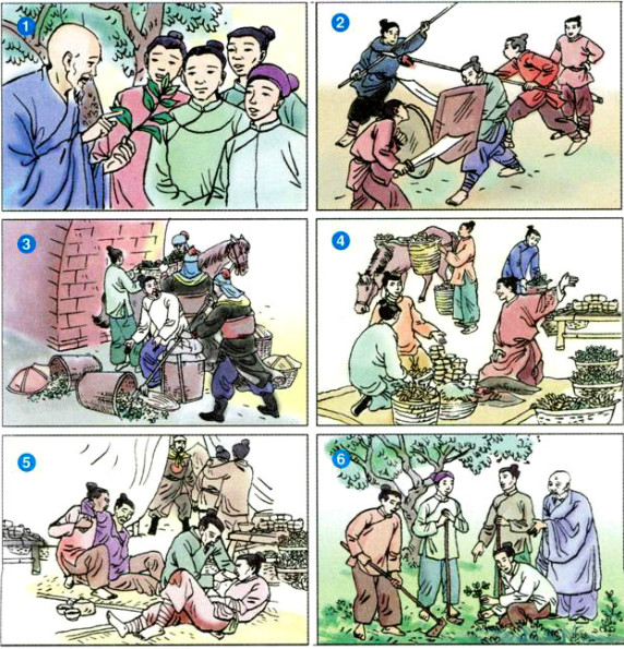 Truyện Cây Cỏ Nước Nam
