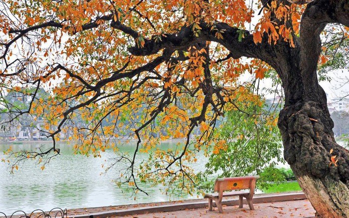 Truyện Ngắn Tình Cảm Hay Và Lãng Mạn Gallery 2