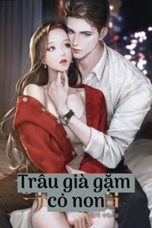 Truyện Ngôn Tình H Trâu Già Cỏ Non: Những Câu Chuyện Tình Yêu Chênh Lệch Tuổi Tạc