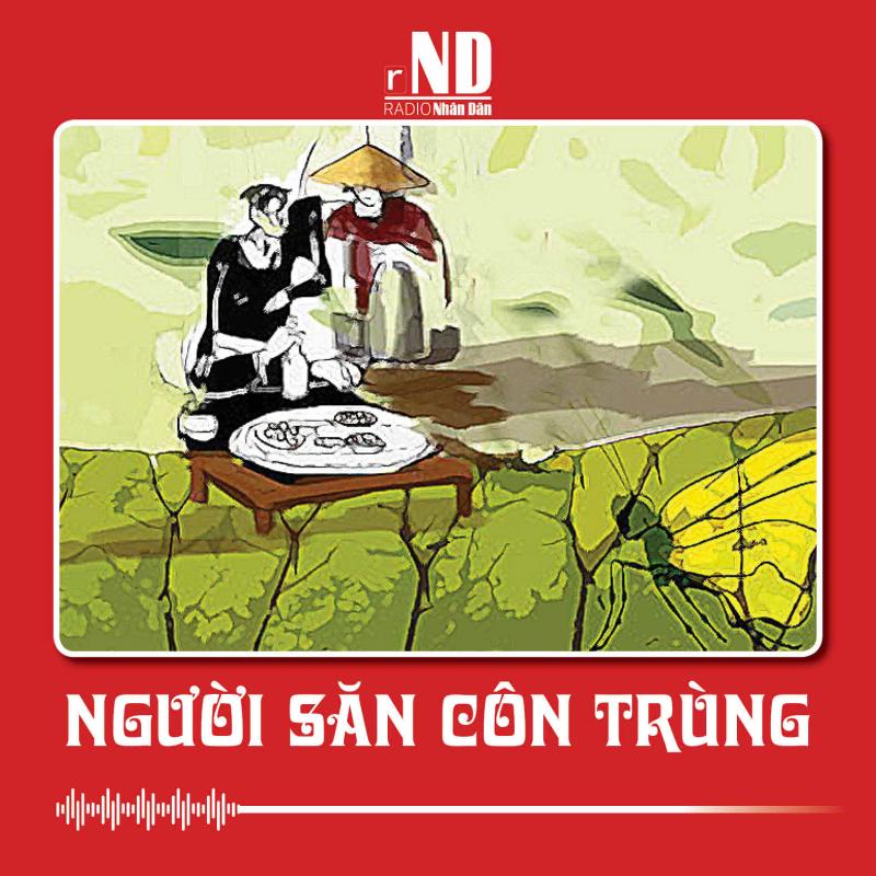 Truyện Người Côn Trùng: Thế Giới Kỳ Diệu Của Những Sinh Vật Nhỏ Bé