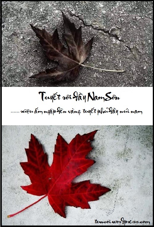 Tuyết Rơi Đầy Nam Sơn - Review chi tiết và tóm tắt nội dung Gallery 2
