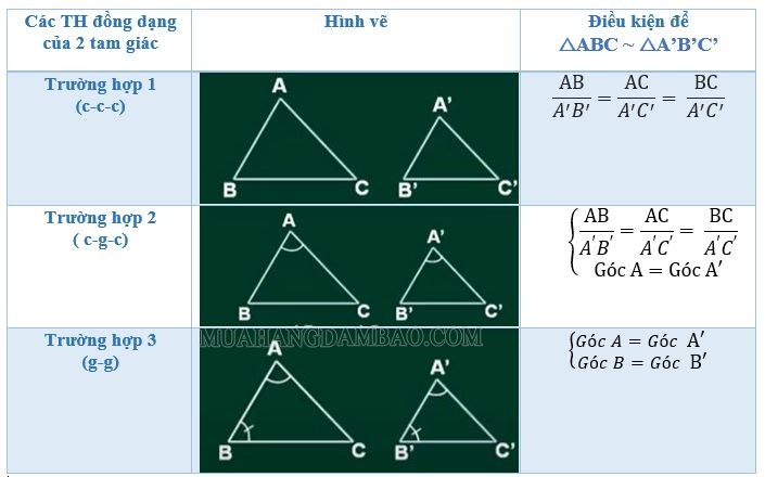 Từ 2 tam giác đồng dạng suy ra được gì?
