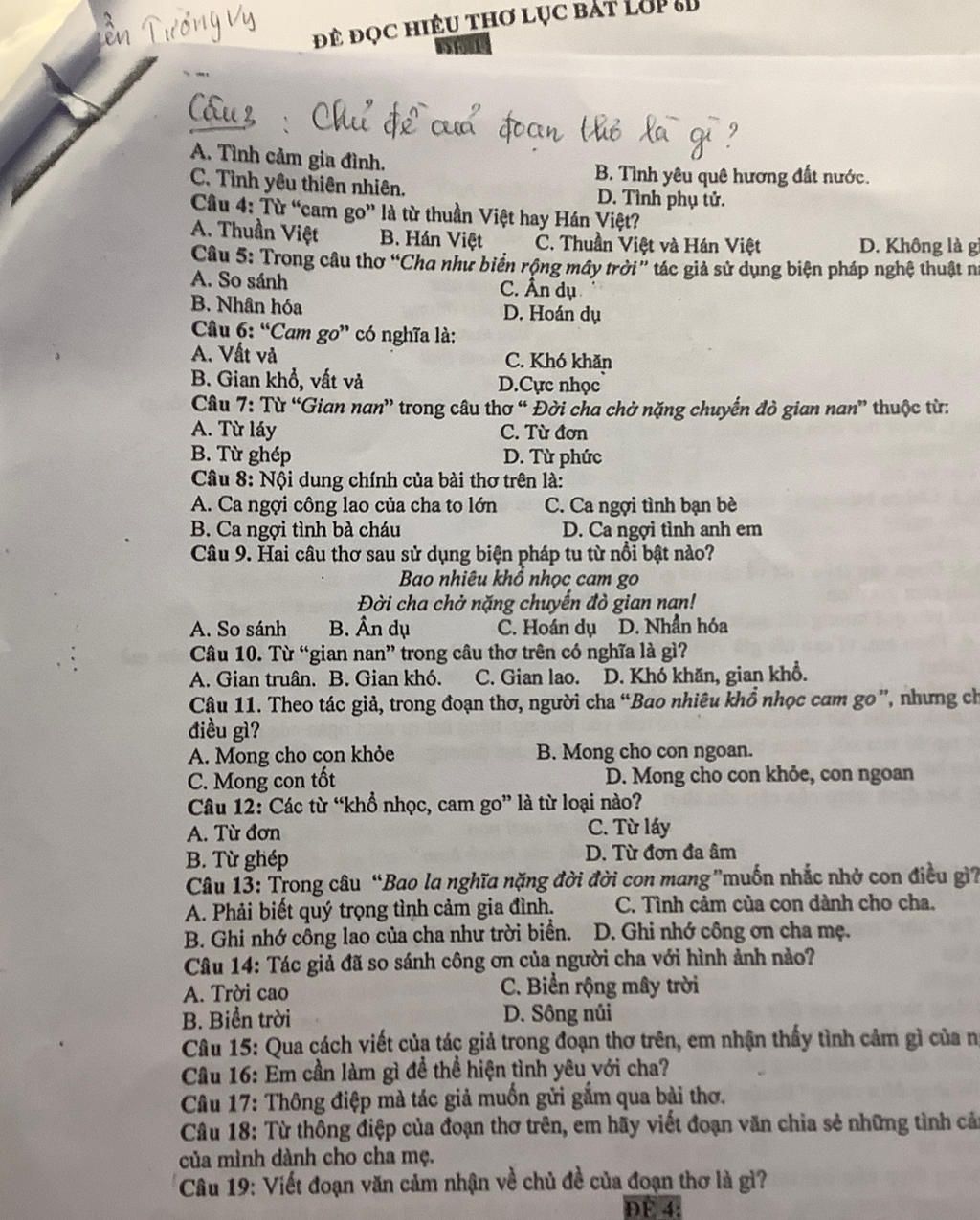 Cam go là từ thuần Việt hay Hán Việt?