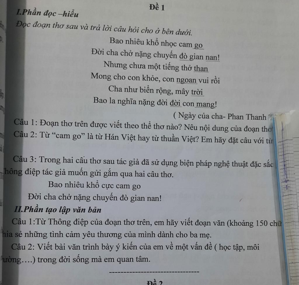 Cam go là từ thuần Việt hay Hán Việt? Gallery 2