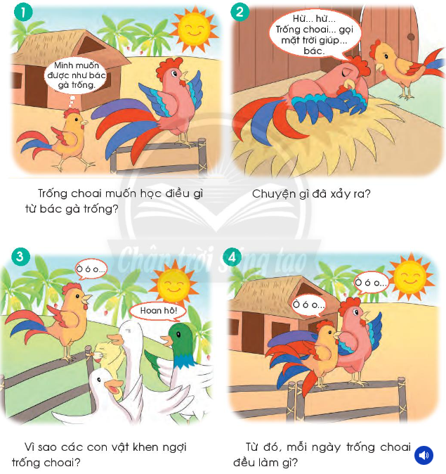 Từ Chỉ Đặc Điểm Trong Bài Chú Trống Choai