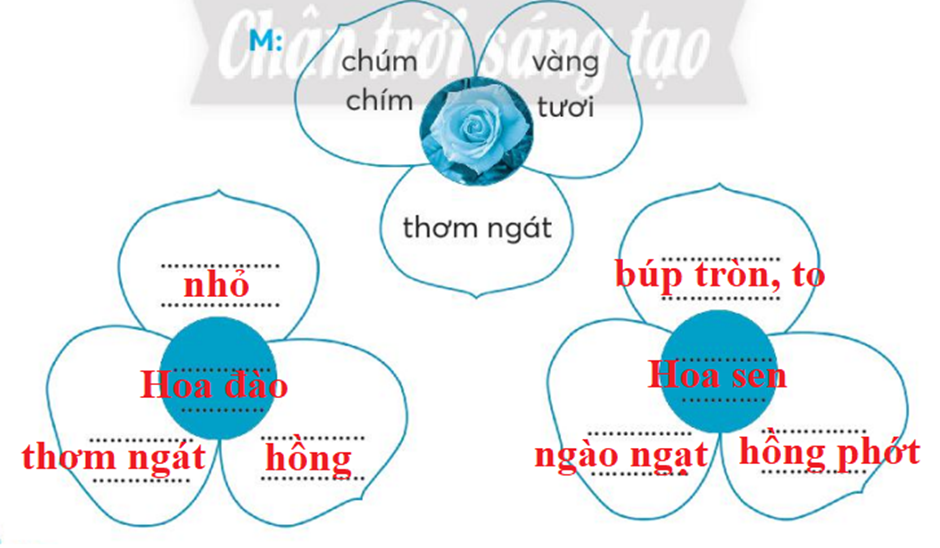 Từ Chỉ Hình Dáng trong Tiếng Việt Gallery 2
