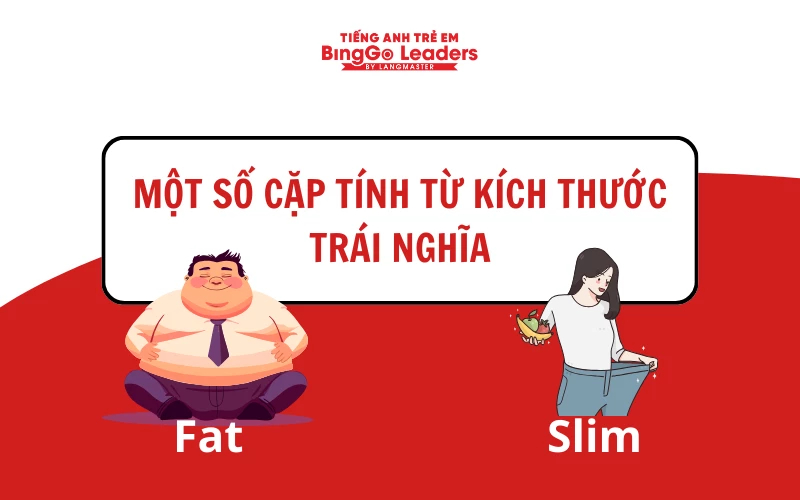 Từ chỉ kích thước trong Tiếng Việt Gallery 2