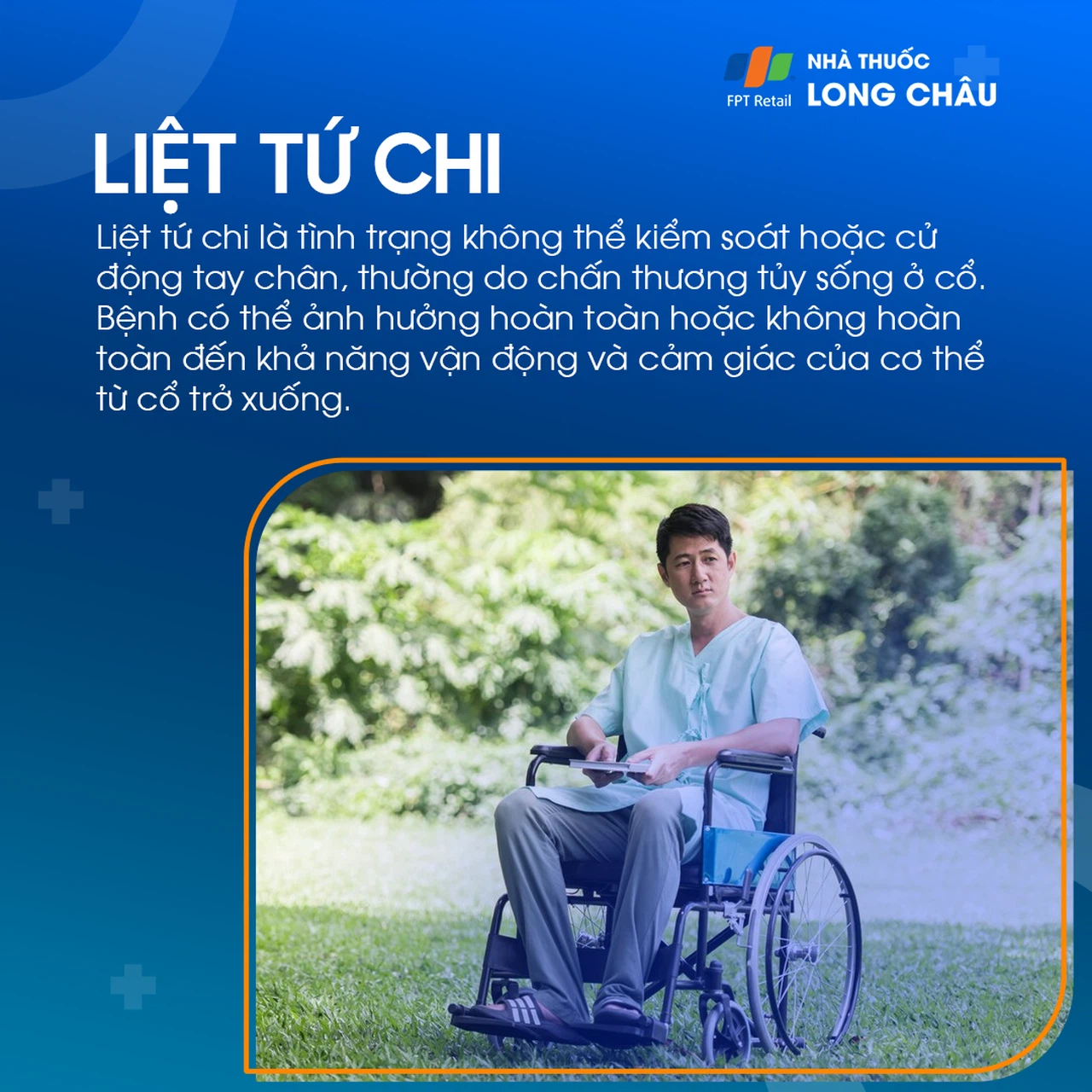 Tứ chi là gì?