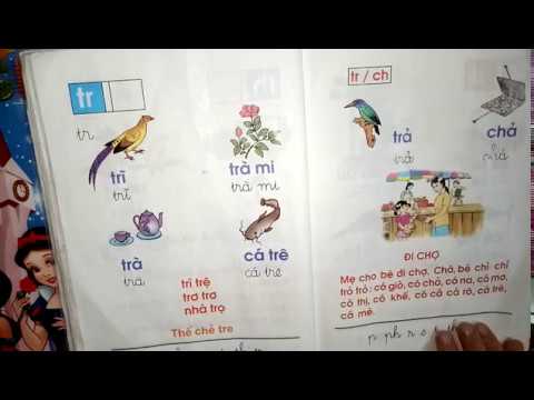 Từ vựng tiếng Việt chứa âm Ch và Tr Gallery 2
