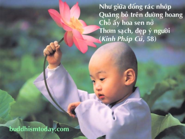 Những hậu quả khôn lường khi nói dối: Chuyện nói dối hại thân Gallery 2