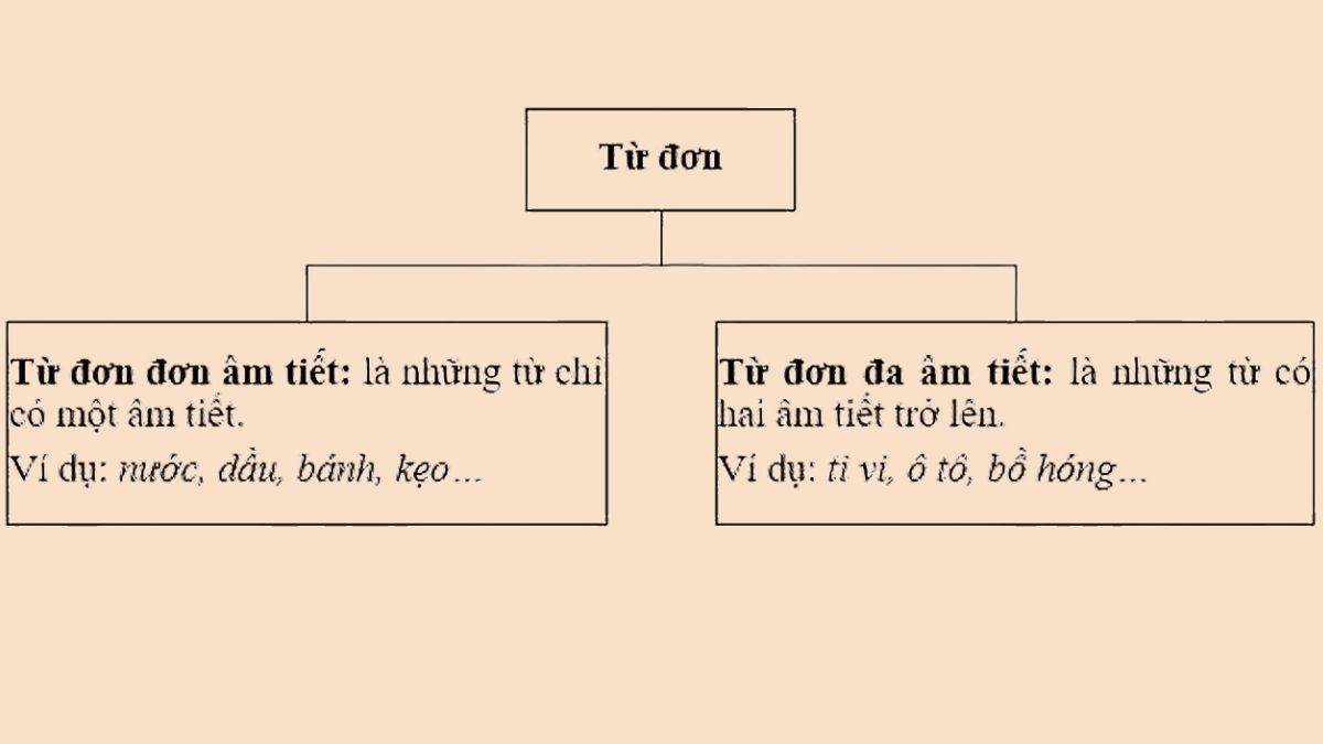 J là gì?