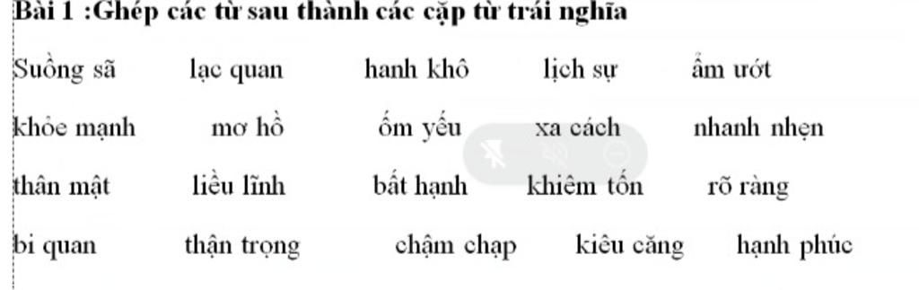 Suồng Sã Đồng Nghĩa Là Gì? Từ Đồng Nghĩa Và Trái Nghĩa Của Suồng Sã Gallery 2