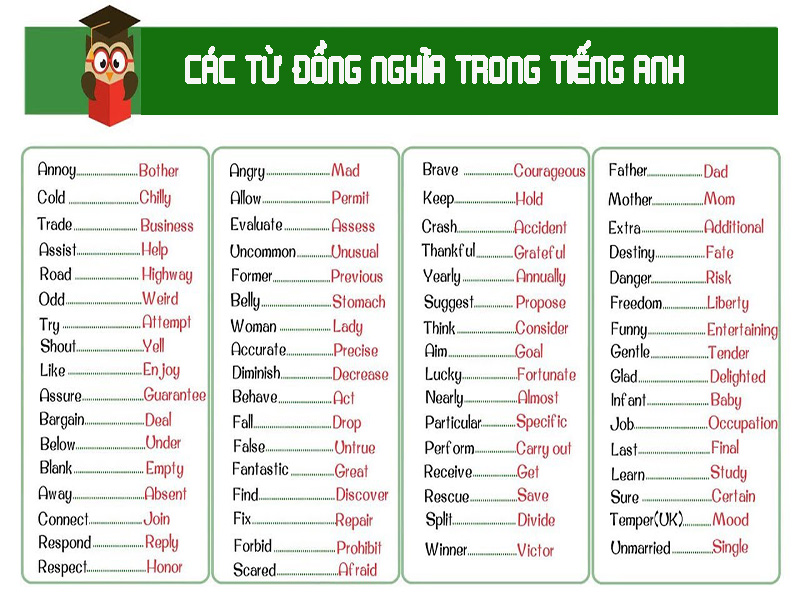 Từ Đồng Nghĩa, Từ Trái Nghĩa và Từ Đồng Âm Là Gì? Gallery 1