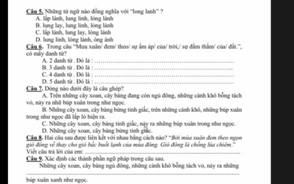 Long Lanh Là Gì? Gallery 2