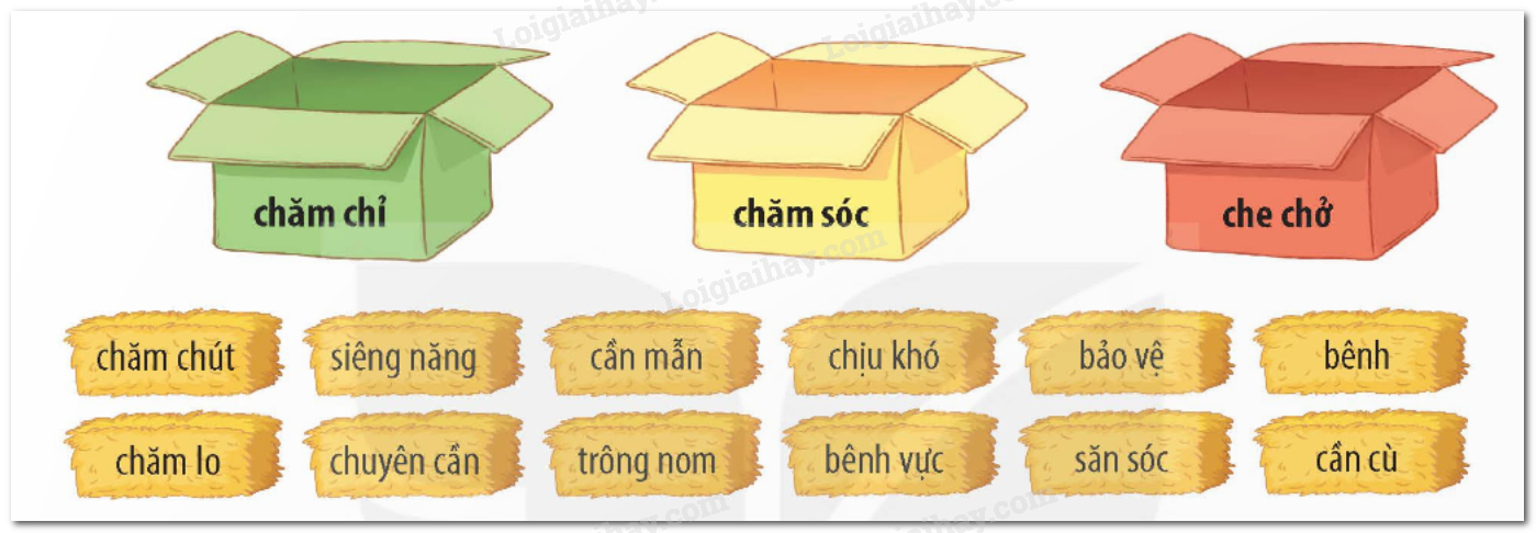 Tưng Bừng Là Gì? Gallery 2