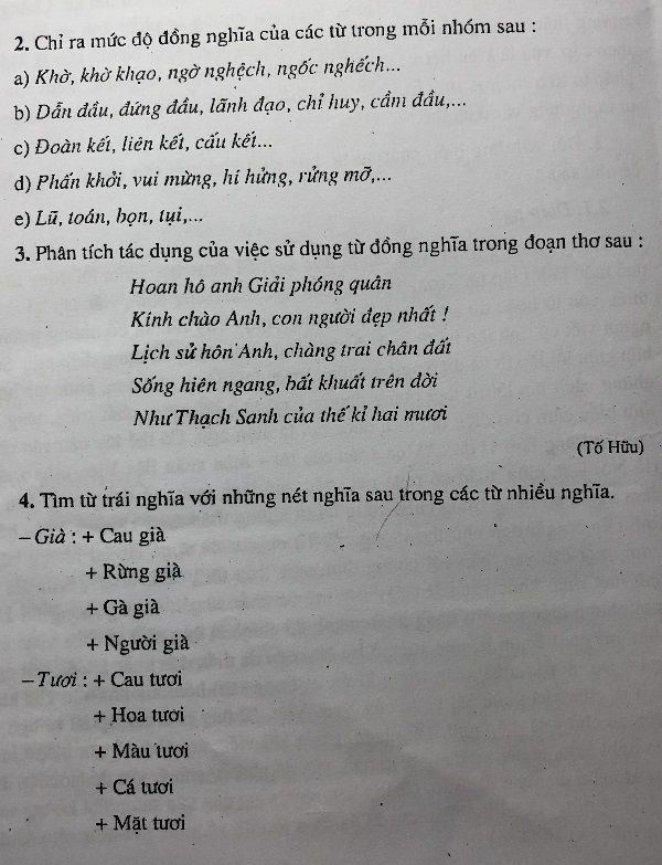 Ngờ nghệch hay ngờ nghệch Gallery 2