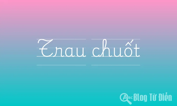 Trau chuốt nghĩa là gì? Gallery 2