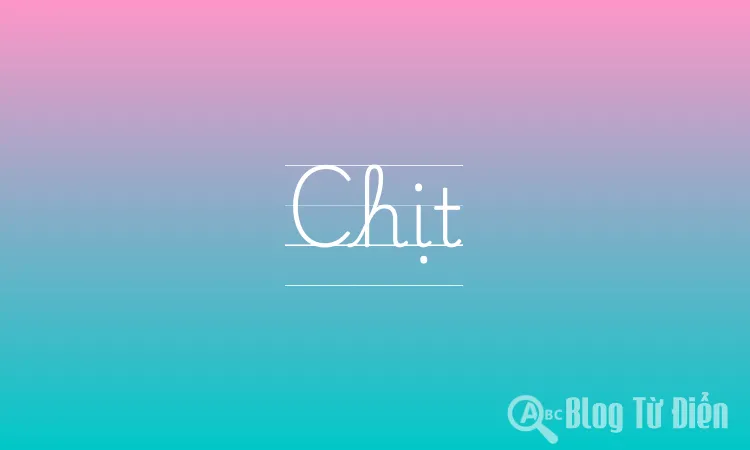Chằng chịt là gì? Gallery 2