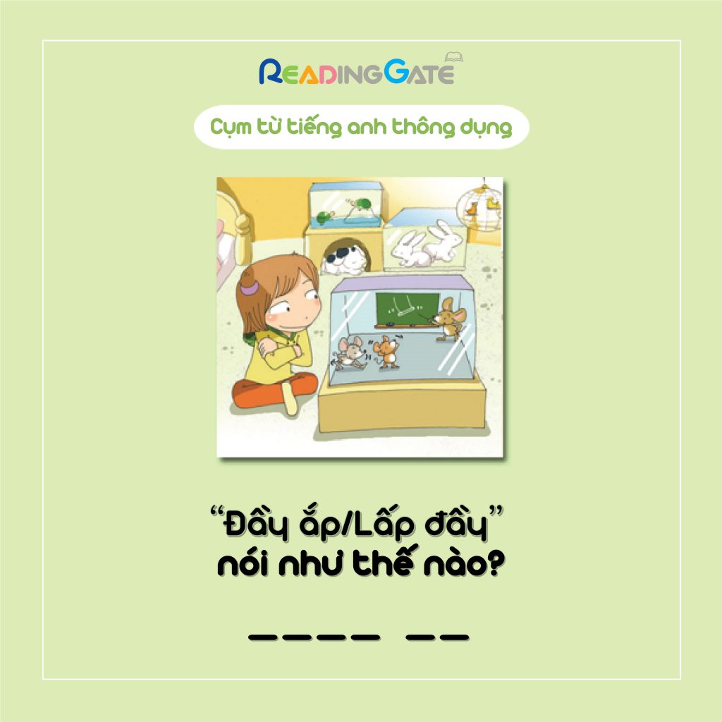 Đầy ắp là gì? Gallery 2