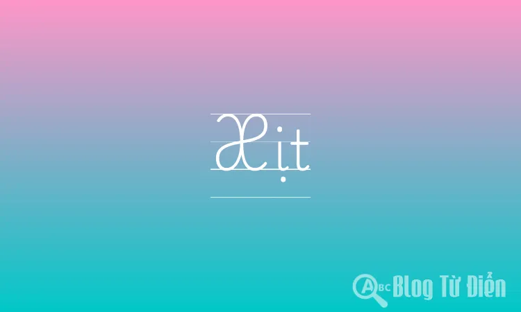 Xúm xít là gì? Gallery 1