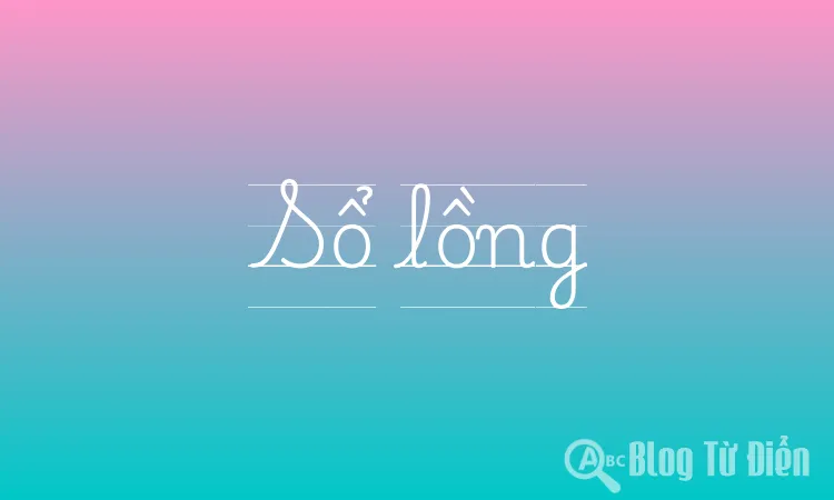 So Long Là Gì? Gallery 2