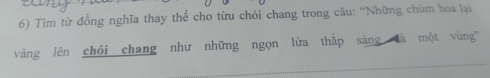 Từ đồng nghĩa với chói chang Gallery 2