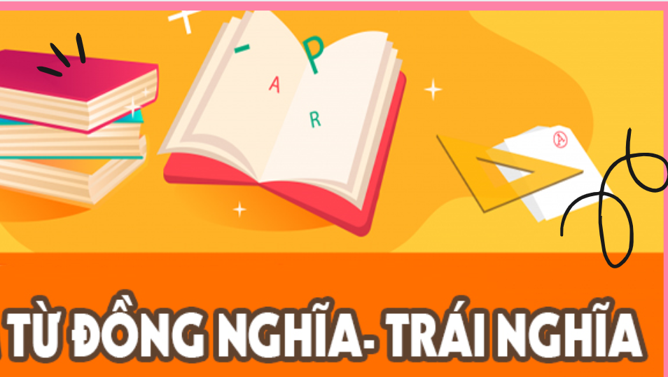 Closet là đồng nghĩa hay trái nghĩa? Gallery 1