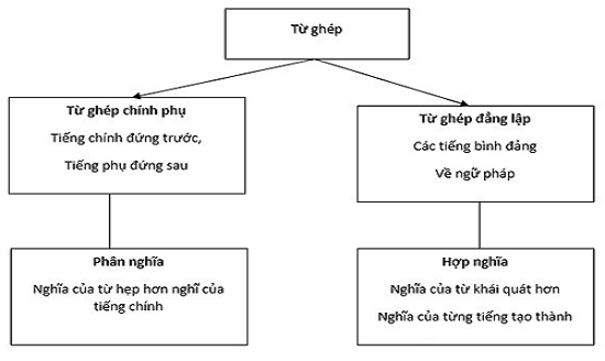 Từ ghép đẳng lập và từ ghép chính phụ: Khái niệm, ví dụ và phân biệt Gallery 1