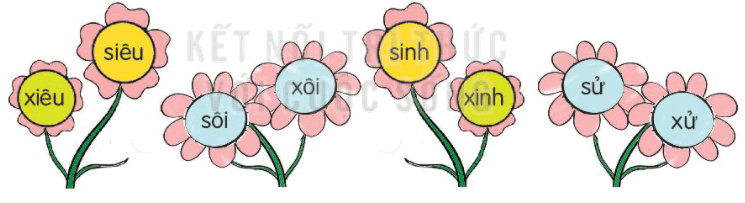 Từ ghép với từ "Xôi": Tổng hợp các từ ghép hay và ý nghĩa