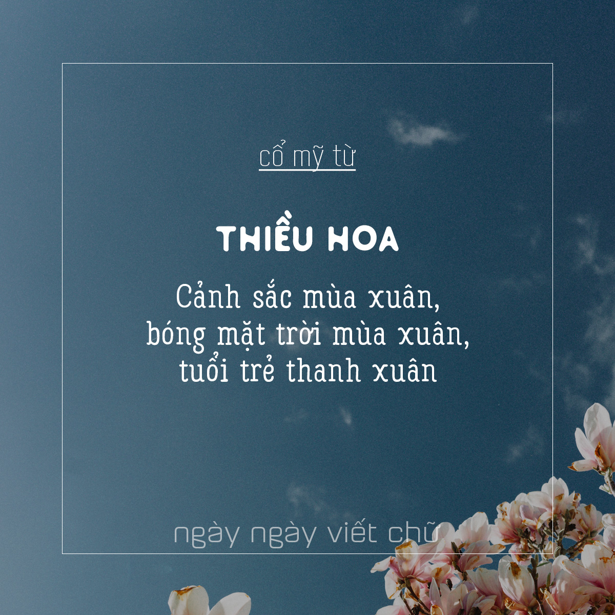 Từ Hán Việt Hay và Ý Nghĩa Gallery 2