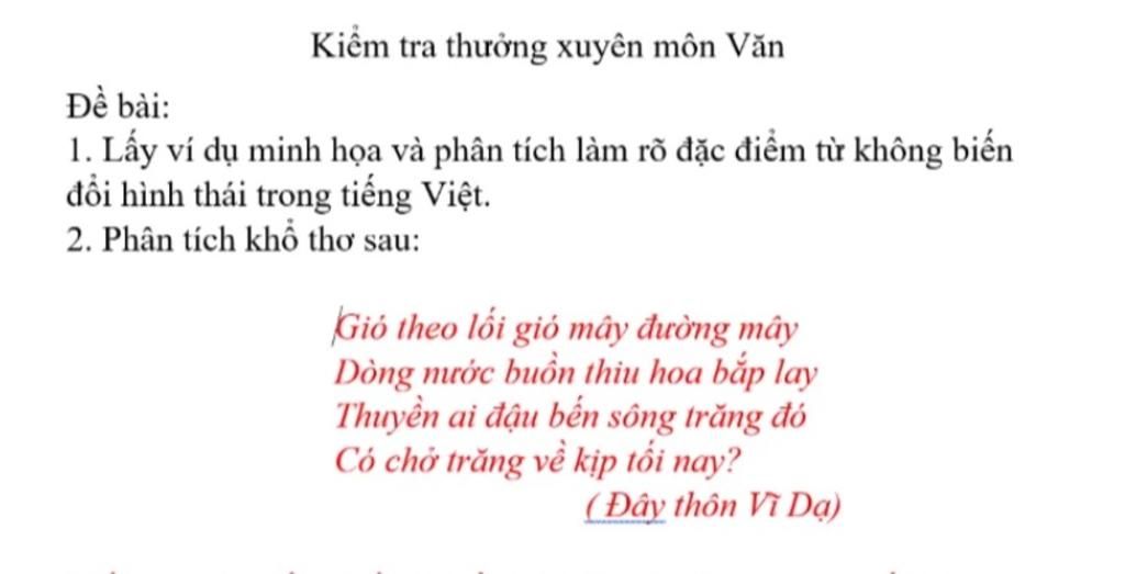 Từ không biến đổi hình thái là gì?