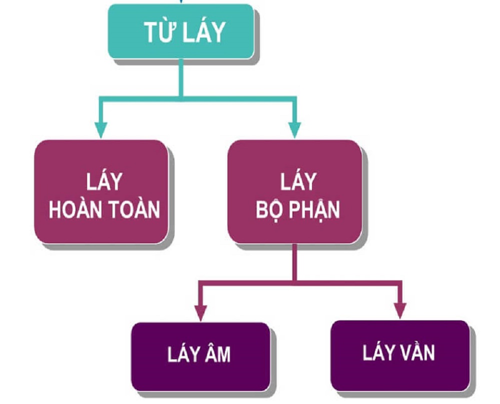 Từ Láy Hoàn Toàn Gallery 2
