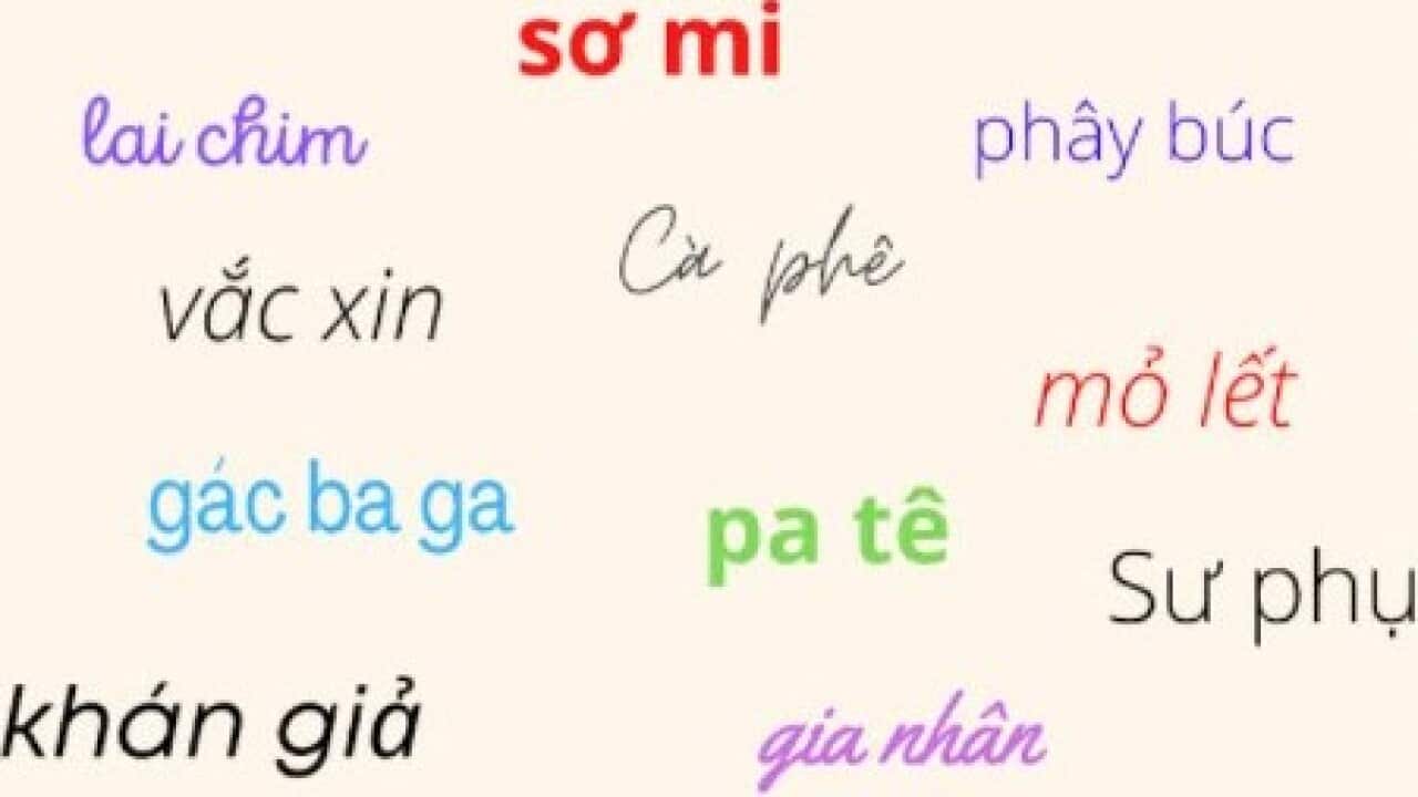 Từ mượn là gì?