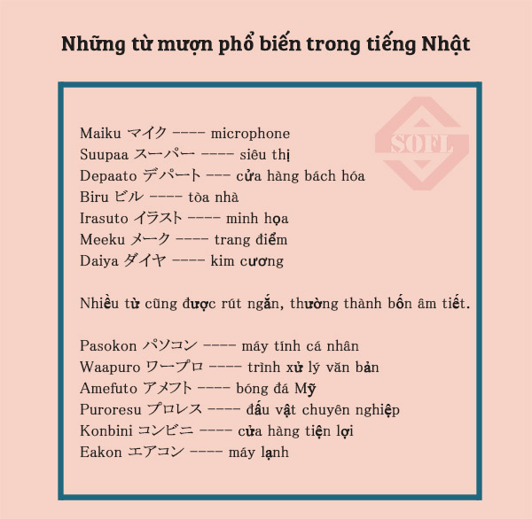 Ví dụ về từ mượn tiếng Hán trong tiếng Việt Gallery 1