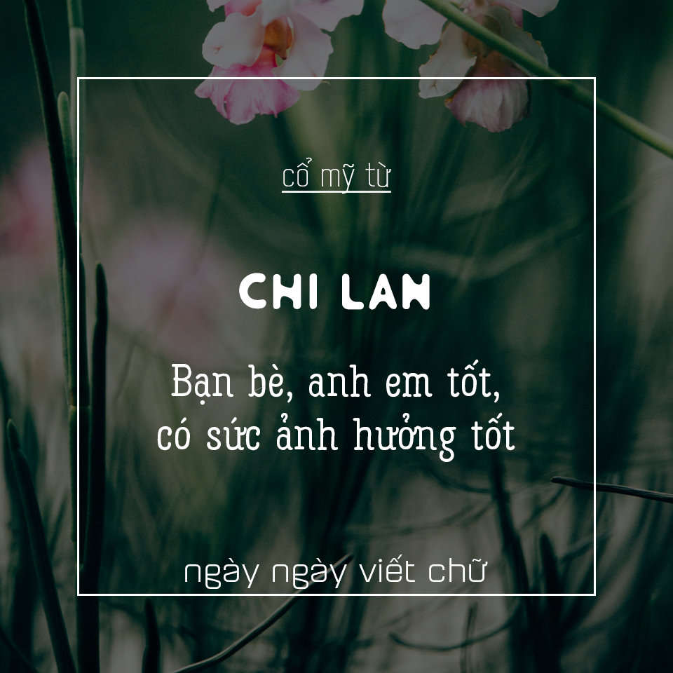 Những Từ Tiếng Việt Hay Và Ý Nghĩa Gallery 1