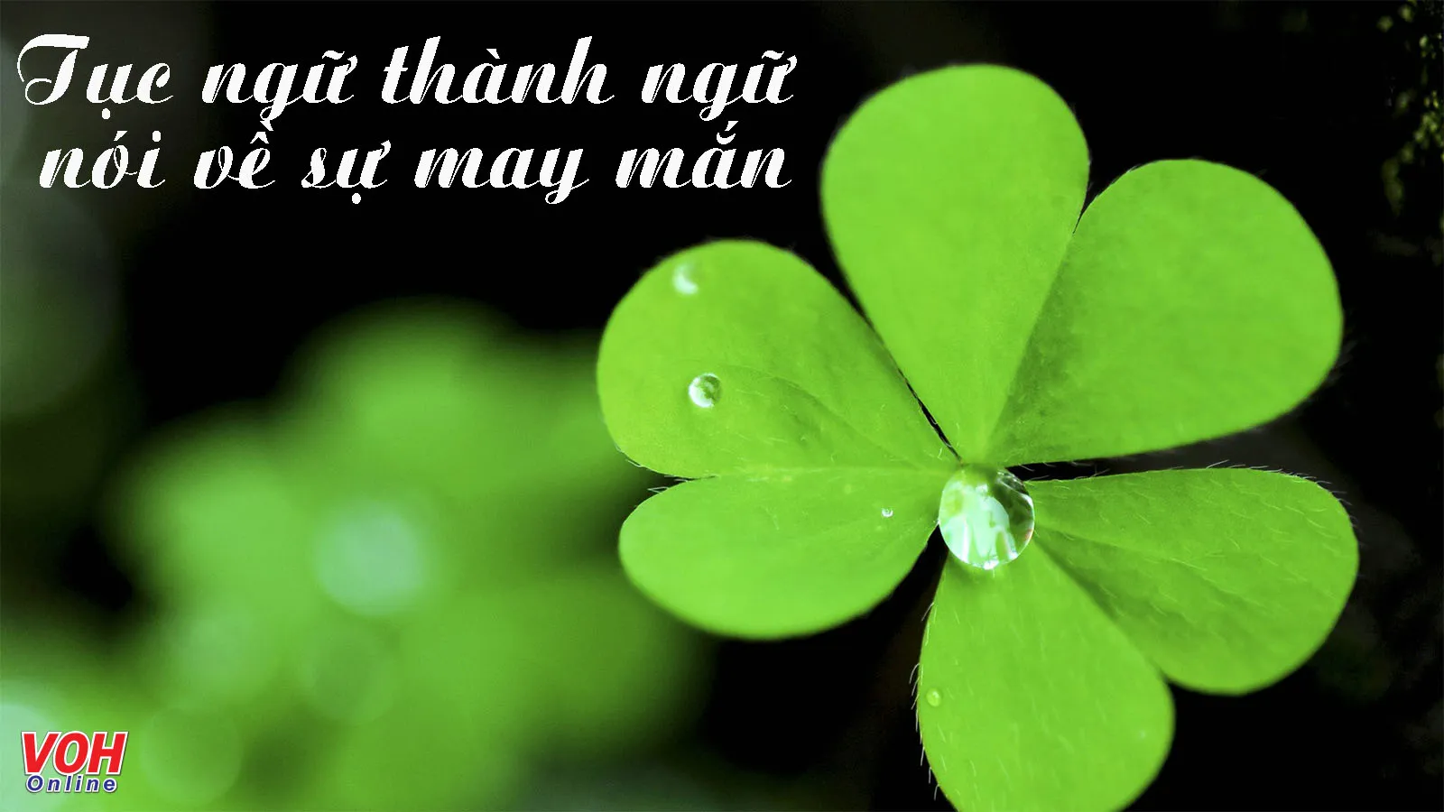 Những Từ Mang Ý Nghĩa May Mắn Thu Hút Tài Lộc Và Hạnh Phúc Gallery 1
