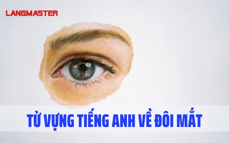Từ Ngữ Miêu Tả Đôi Mắt Đẹp