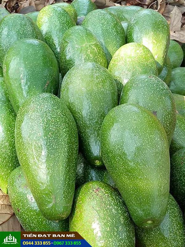 Tứ Quý 2 Là Gì? Ý Nghĩa Và Bí Quyết Chơi Thắng Gallery 2