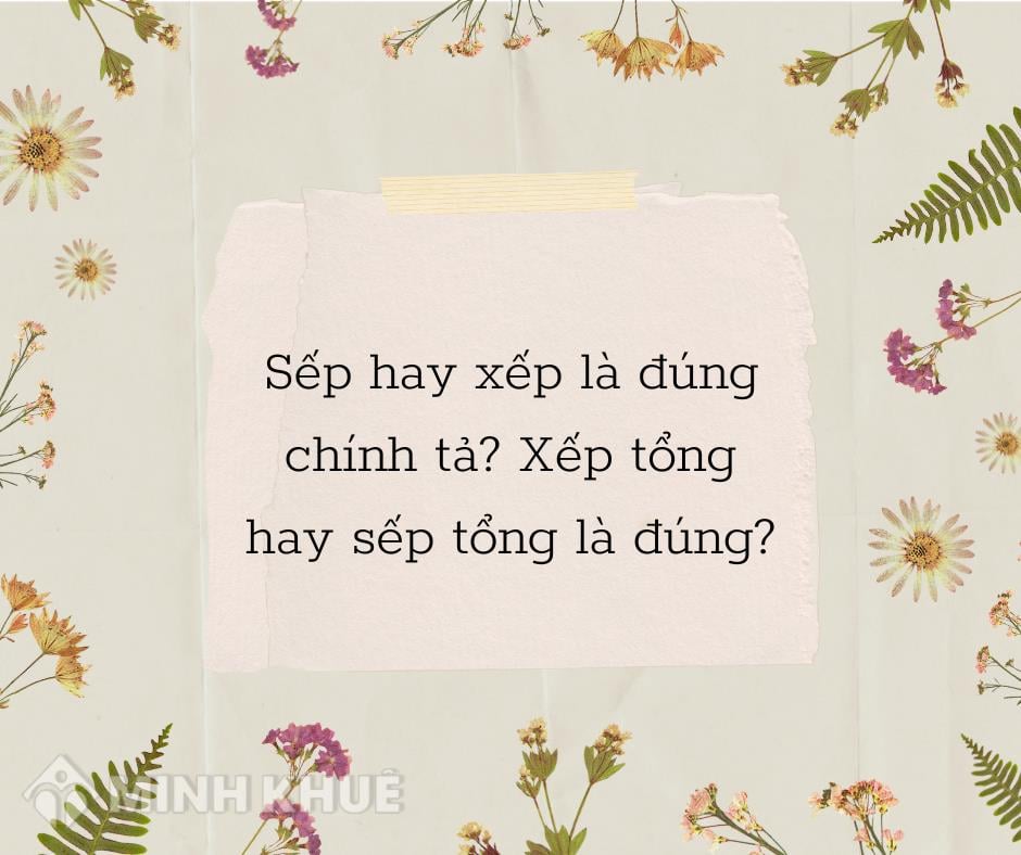 Sếp là gì?