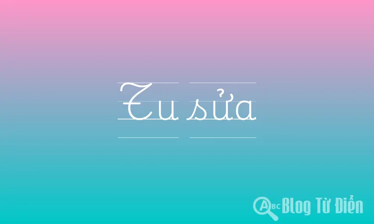 Tu sửa là gì?