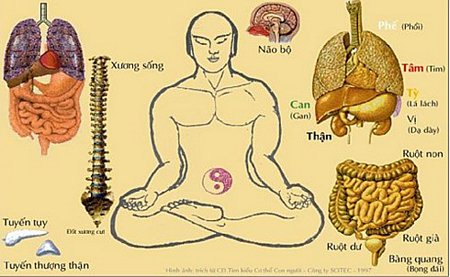 Cách Ngồi Thiền Luyện Khí Công Gallery 1
