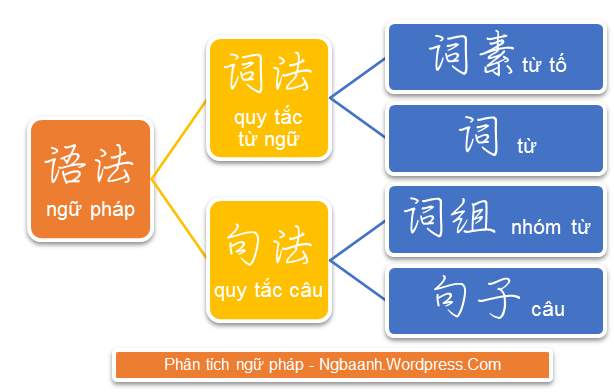 Từ tố là gì?