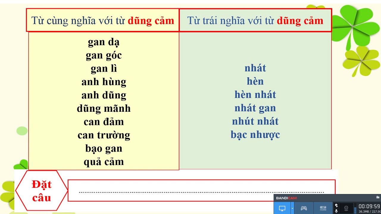 Từ trái nghĩa với dũng cảm Gallery 2
