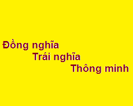 Từ trái nghĩa với thông minh là gì?