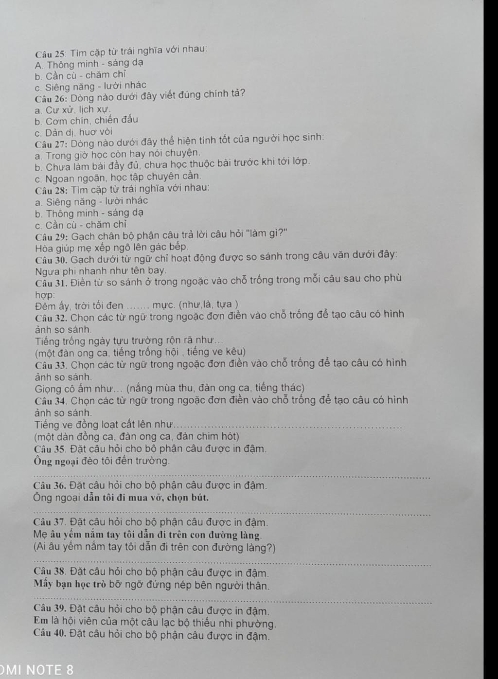 Từ trái nghĩa với thông minh là gì? Gallery 2