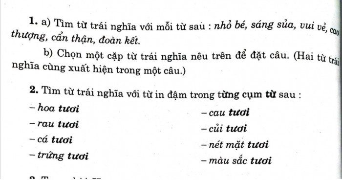 Từ trái nghĩa với vui vẻ là gì? Gallery 2