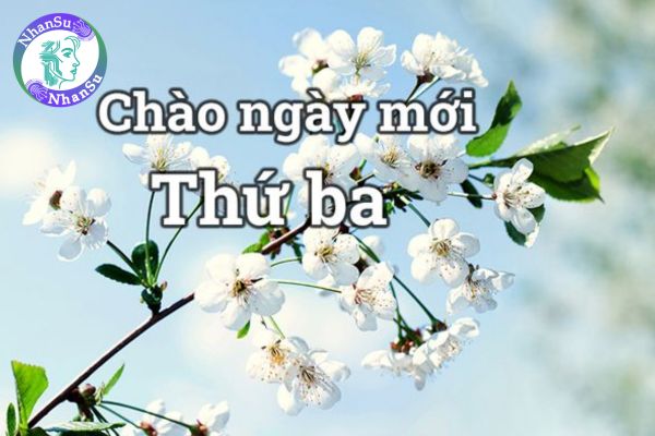 Tử Vi Thứ Ba Gallery 2