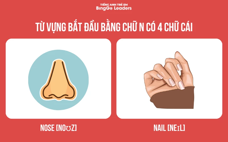 Những từ bắt đầu bằng chữ N Gallery 2